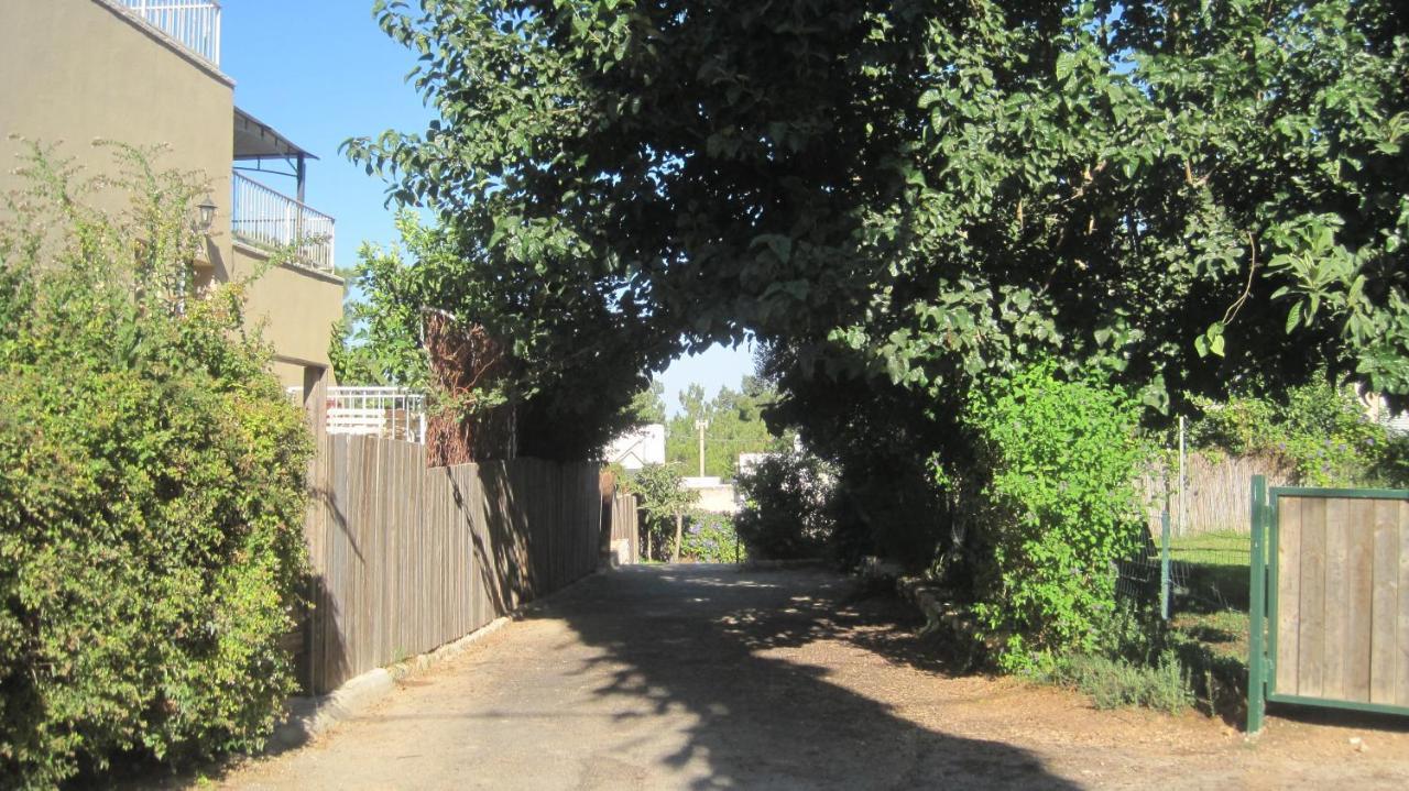 The House By The Mulberry Tree Apartment Neve Ilan Exterior foto